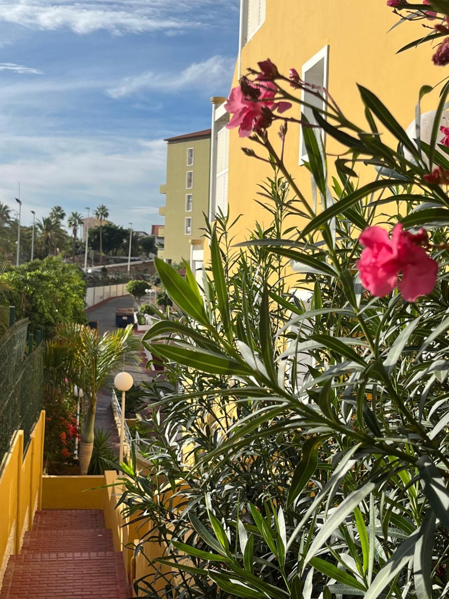 אדחה Sunset Star Orlando - Your Home Away From Home מראה חיצוני תמונה